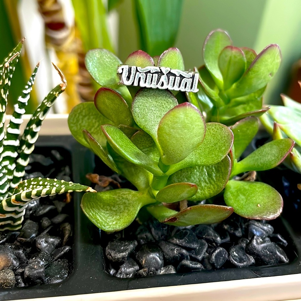 UNUSUAL Nameplate Ring